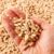 Biomasse: calore con combustibili come pellet, cippato, scarti boschivi e potature